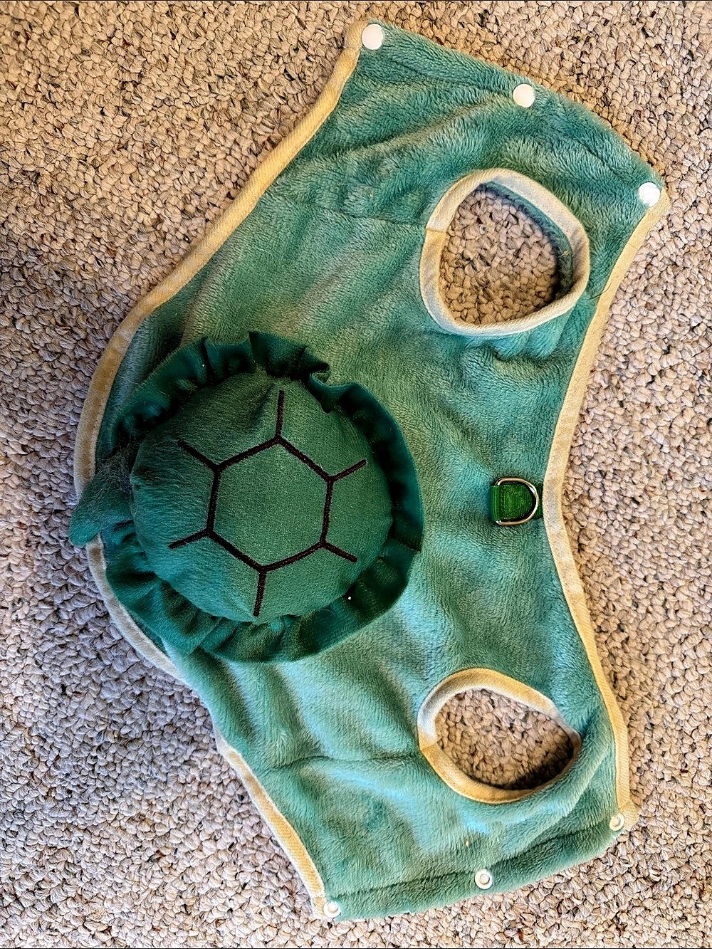 Green Turtle Pet Costume